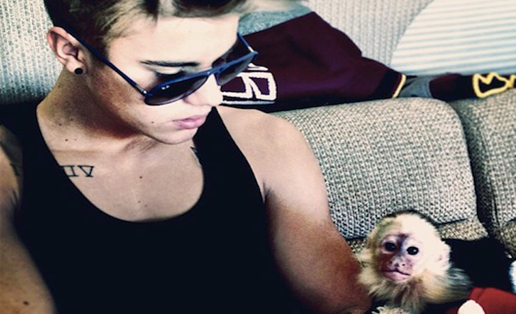 Justin bieber with a monkey on instagram 1364682181