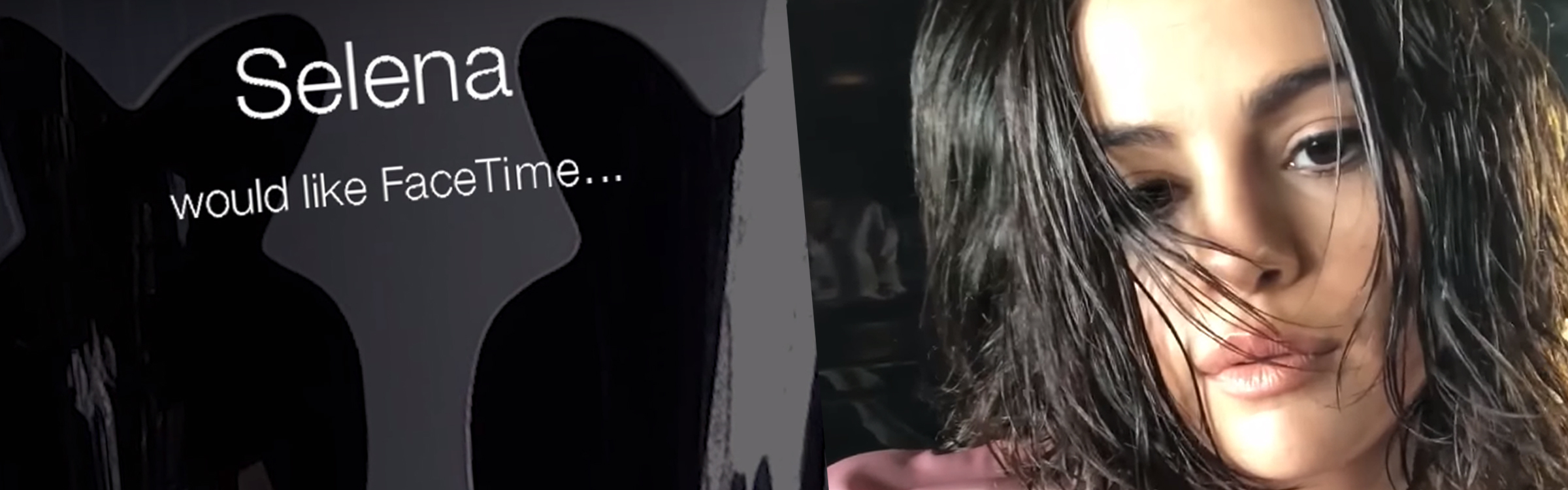 Selenawolves header