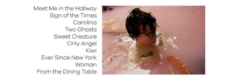 Harry styles albumhoes header