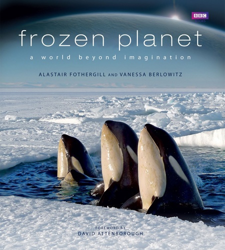 Frozen planet book