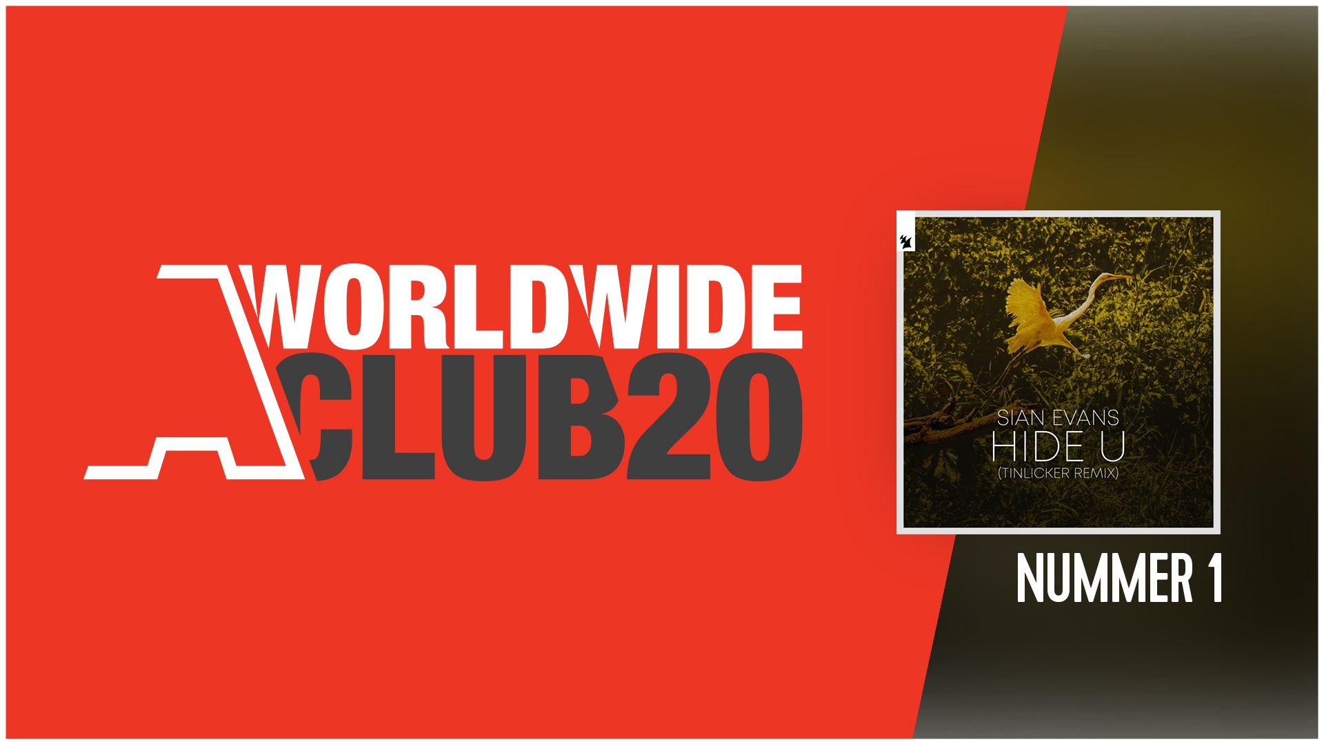 Wwc20wittelijn header