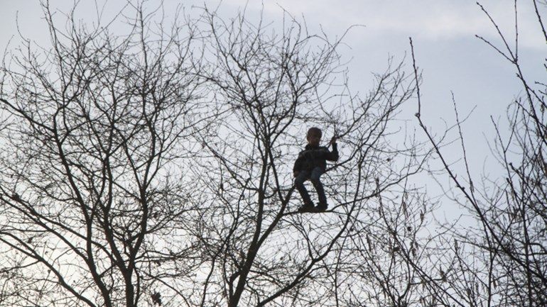 Brandweer ter plekke om jongen uit boom te halen foto saskia kusters sk media