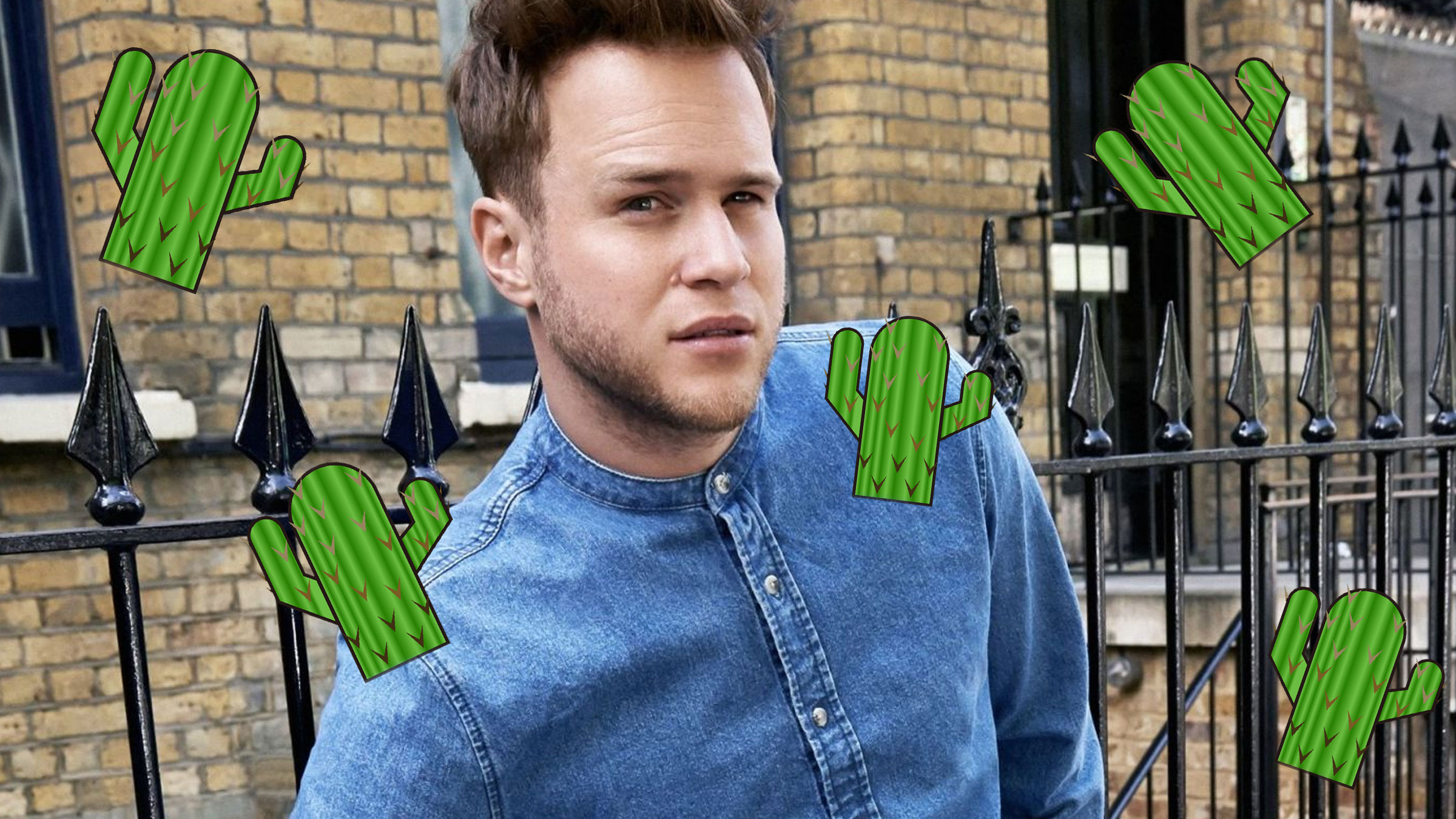 Olly cactus
