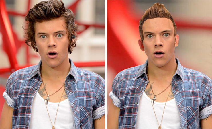 Harrystyles site