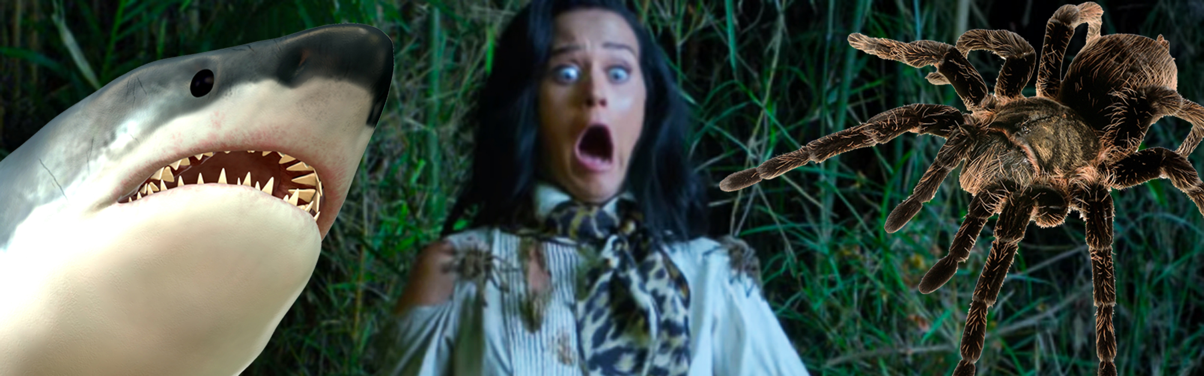 Katyperrylang