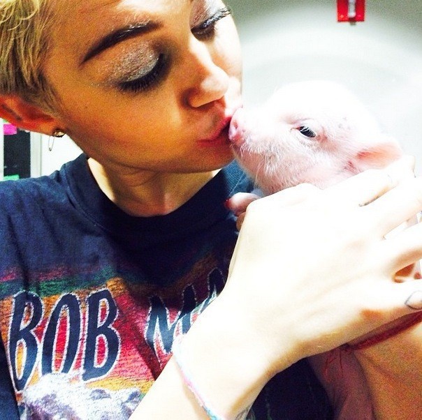 Mileycyrus01