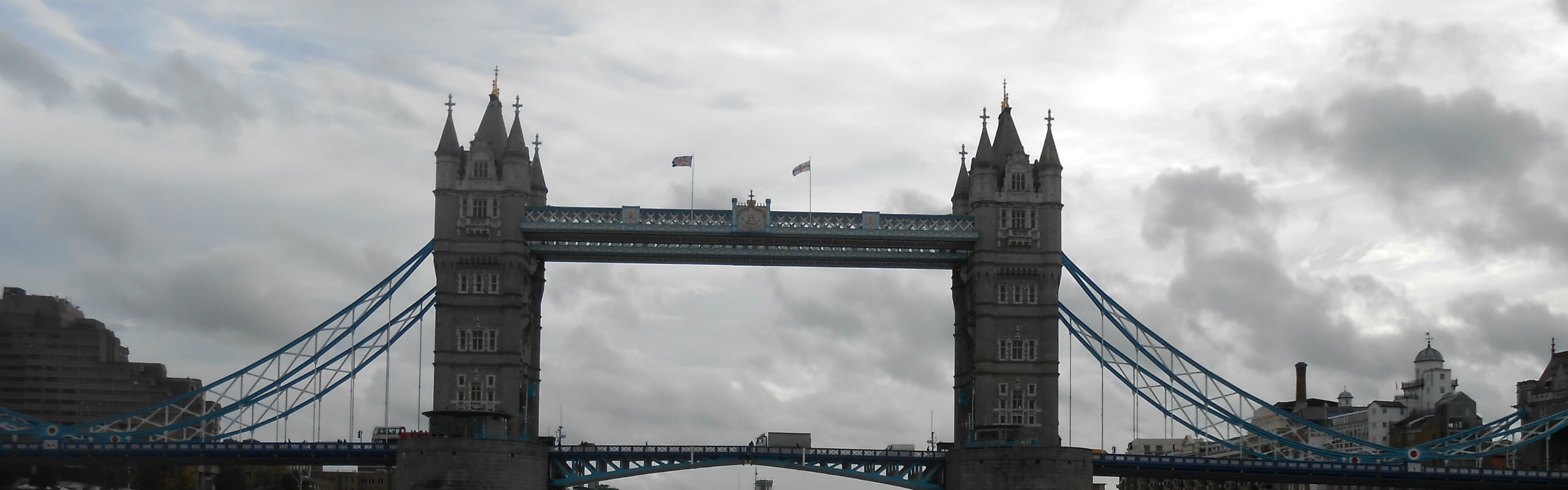 Violaure header